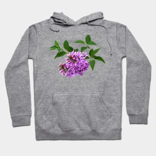 Lovely Lilacs Hoodie